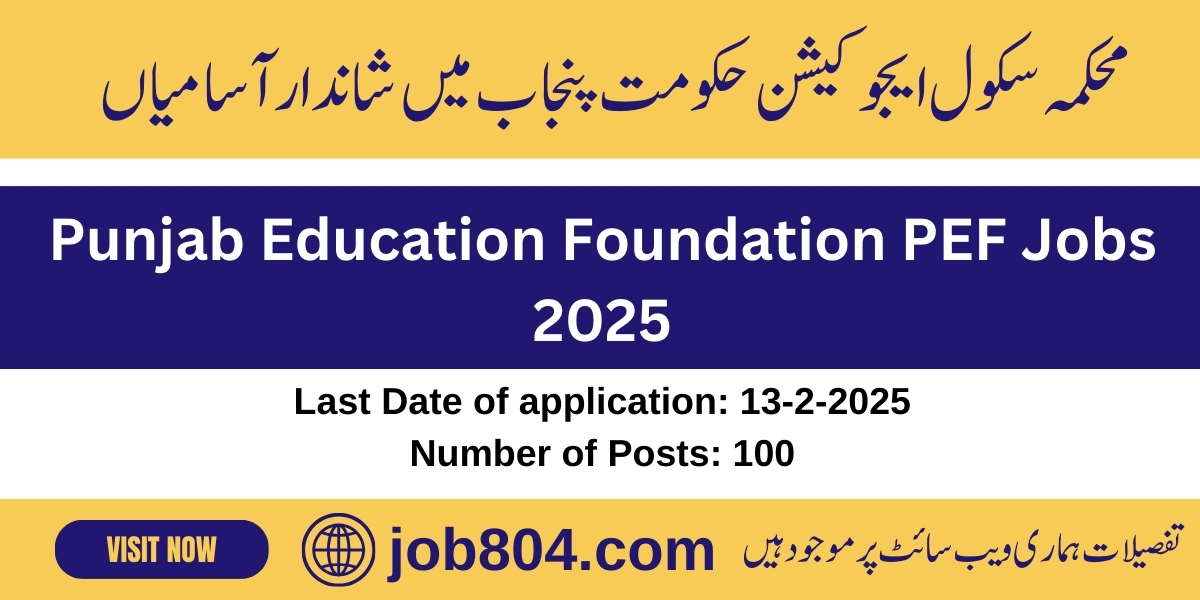 PEF Jobs 2025