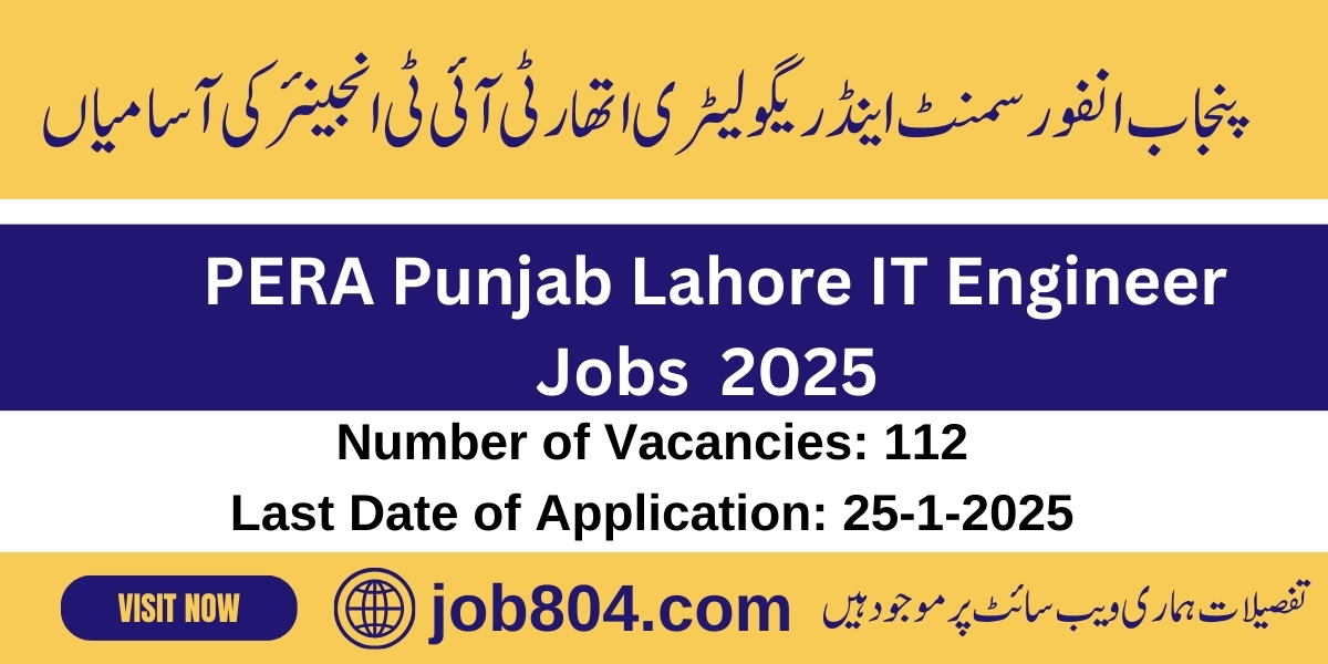 Punjab Enforcement & Regulatory Authority IT Engineer Jobs 2025