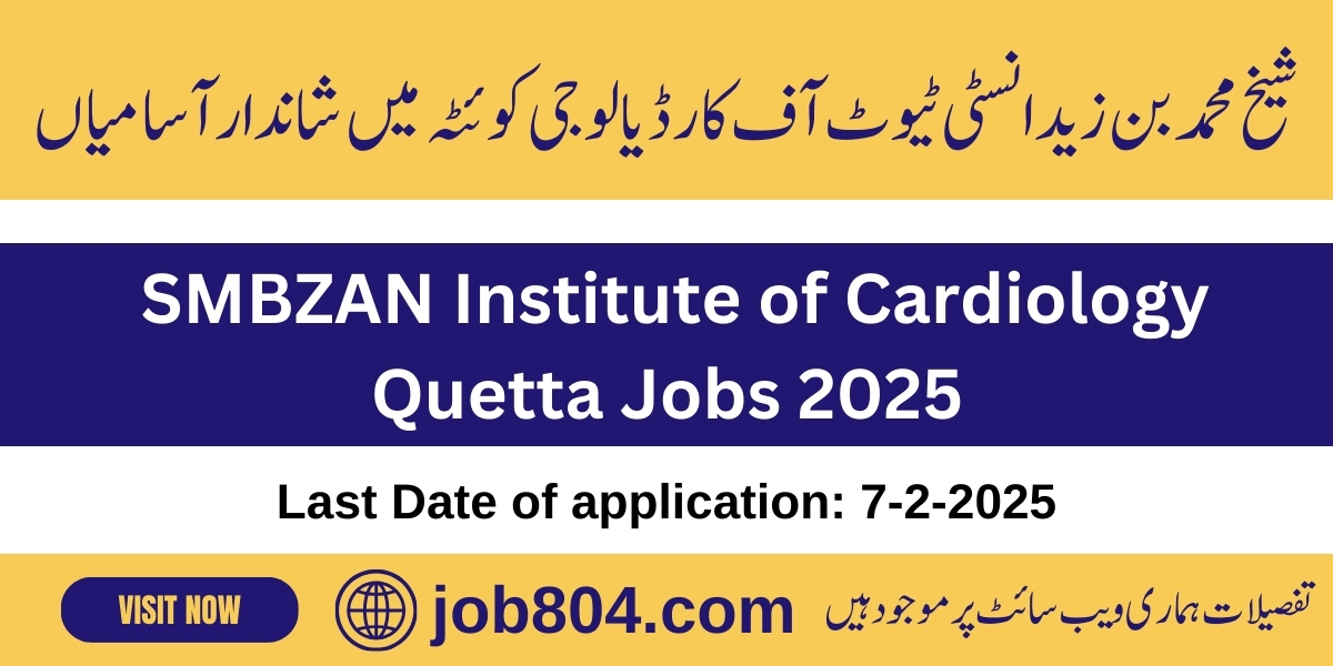 SMBZAN Institute of Cardiology Jobs 2025